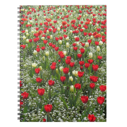 Buis van Tulpen Notitieboek (Voorkant)