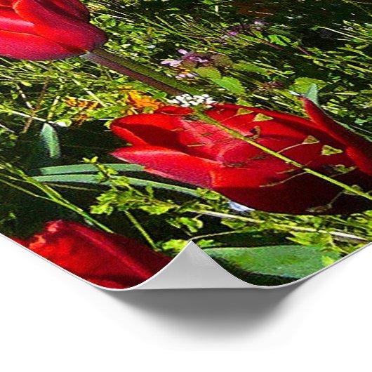 Buis van Tulpen Poster (Hoek)