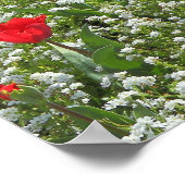 Buis van Tulpen Poster (Hoek)