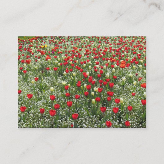 Buis van Tulpen Visitekaartje (Voorkant)