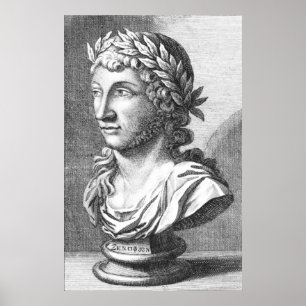 Buis van Xenophanes Poster