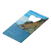 Buiten de baai van Seward Alaska Abstract Creditkaart Flessenopener (Achterkant Gekanteld)
