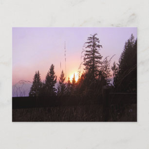 Buiten de bomen......briefkaart briefkaart