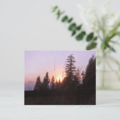 Buiten de bomen......briefkaart briefkaart (Staand voorkant)