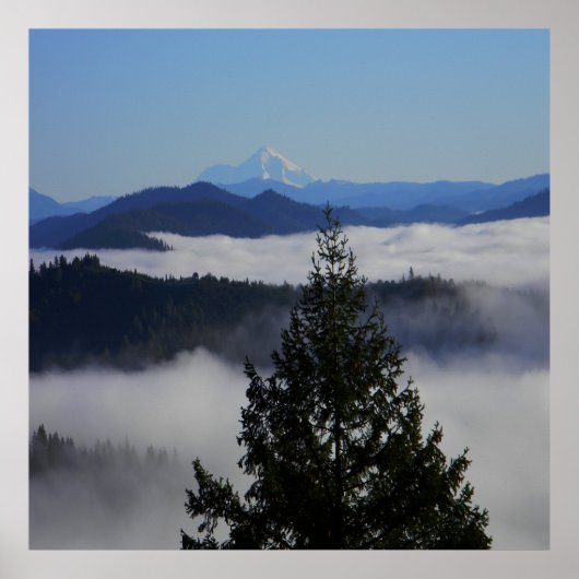 Buiten de boom.... poster (Voorkant)