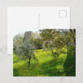 Buiten de muren van San Gimignano Briefkaart (Voorkant / Achterkant)