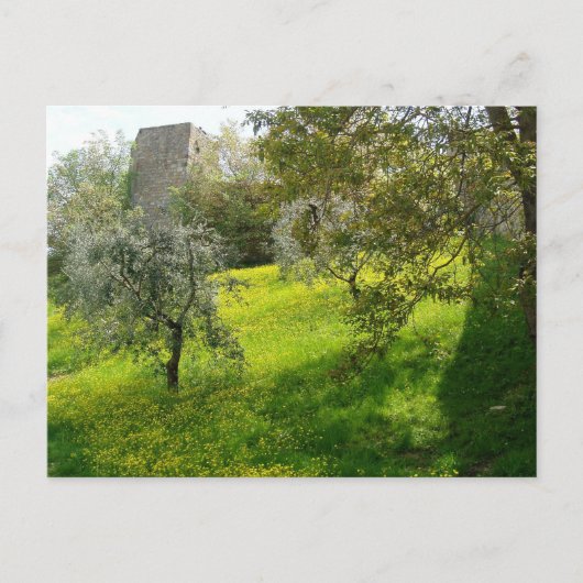 Buiten de muren van San Gimignano Briefkaart (Voorkant)