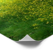 Buiten de muren van San Gimignano Poster (Hoek)