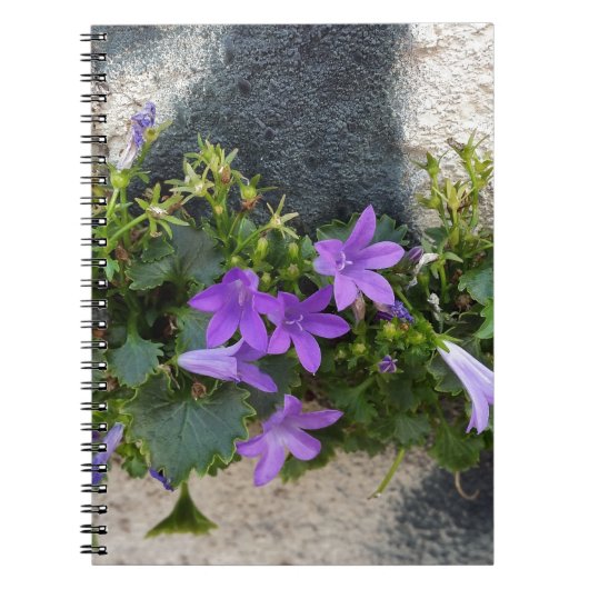 buiten de muurbloem notitieboek (Voorkant)