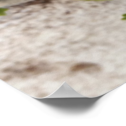 buiten de muurbloem poster (Hoek)