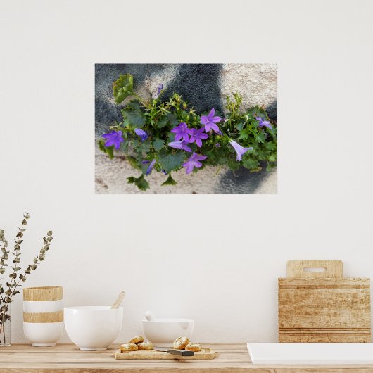 buiten de muurbloem poster (Keuken)