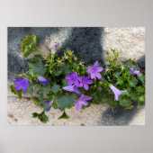 buiten de muurbloem poster (Voorkant)