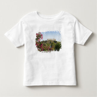 Buiten de vallei van de tempels kinder shirts