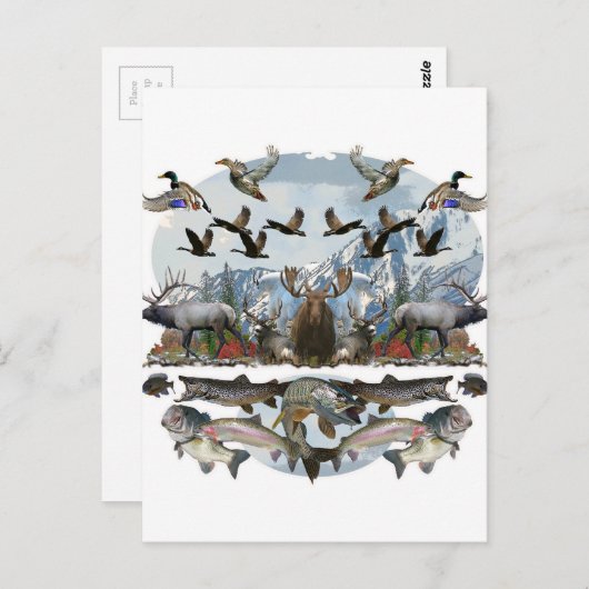 Buiten het leven briefkaart (Voorkant / Achterkant)