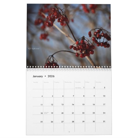 Buiten in Michigan Kalender (Jan 2026)