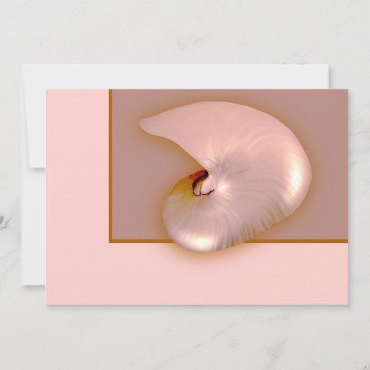 Buiten Nautilus (Voorkant)