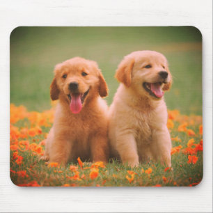 Buiten, samen, paar, honden muismat
