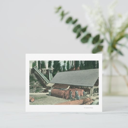 Buiten Uitzicht van Benton's MillRedding, CA Briefkaart (Staand voorkant)