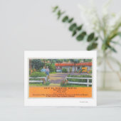 Buiten Uitzicht van de New El Rancho Motel Briefkaart (Staand voorkant)