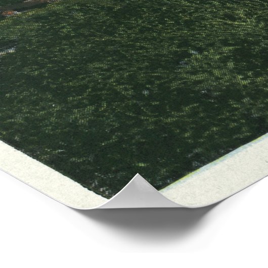 Buiten Uitzicht van het Pleasant Hotel # 2 Poster (Hoek)