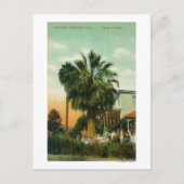 Buiten Uitzicht van Hotel au Palm Briefkaart (Voorkant)