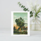 Buiten Uitzicht van Hotel au Palm Briefkaart (Staand voorkant)