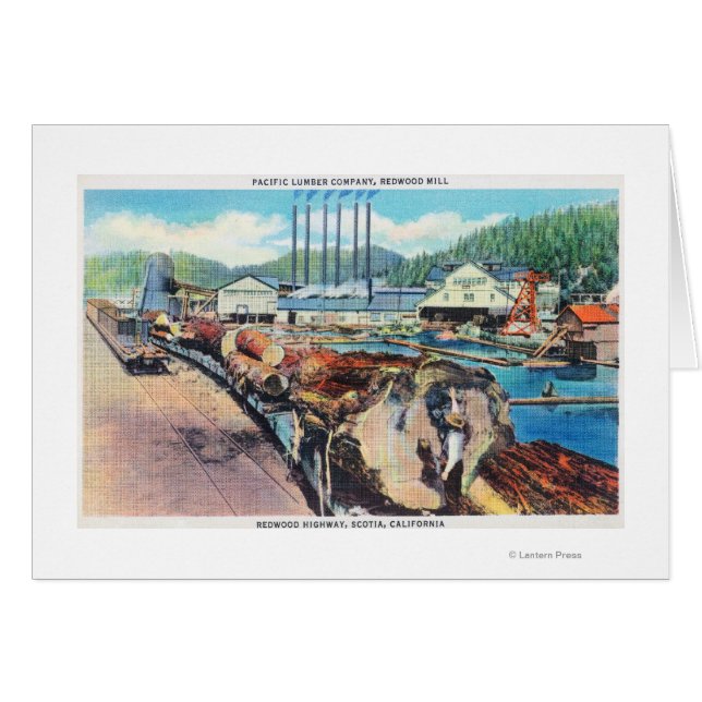 Buiten Uitzicht van Pacific Lumber Co., Redwood (Voorkant Horizontaal)
