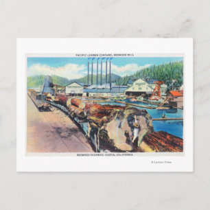 Buiten Uitzicht van Pacific Lumber Co., Redwood Briefkaart