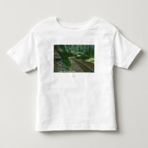Buiten Uitzicht van Shasta Retreat van de spoorweg Kinder Shirts