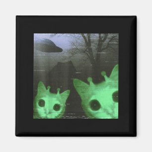 Buitenaardse Katten Ufo Grappige Enge Kat Meme Voo Magneet