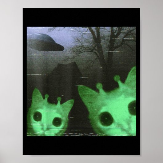Buitenaardse Katten Ufo Grappige Enge Kat Meme Voo Poster (Voorkant)