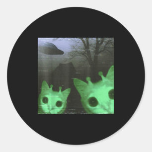 Buitenaardse katten Ufo grappige enge kat meme voo Ronde Sticker