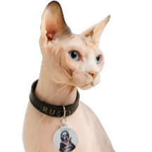 Buitenaardse Naaktsphynx Kat Aangepaste Naam Huisd