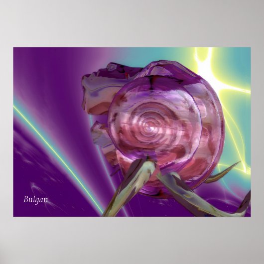 BUITENAARDSE NEREIDE /NIMF VAN WATER,ROZE ZEESCHEL POSTER (Voorkant)