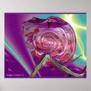 BUITENAARDSE NEREIDE,NYMPH VAN WATER ,ROZE ZEESCHE POSTER
