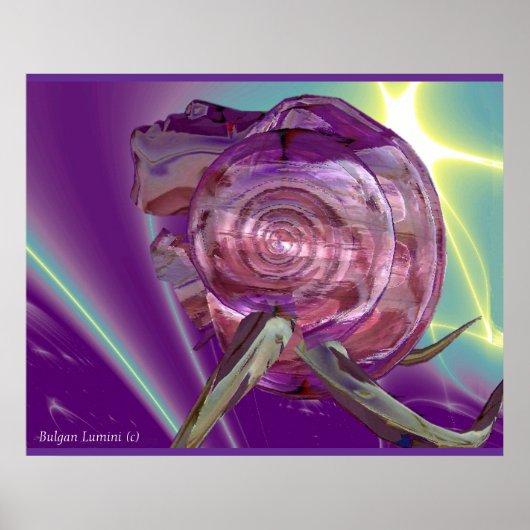 BUITENAARDSE NEREIDE,NYMPH VAN WATER ,ROZE ZEESCHE POSTER (Voorkant)