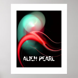 BUITENAARDSE PAREL POSTER