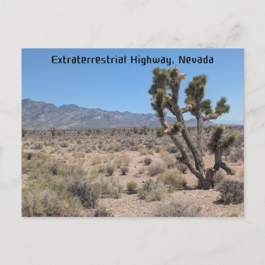 Buitenaardse snelweg, Nevada woestijn Briefkaart (Voorkant)