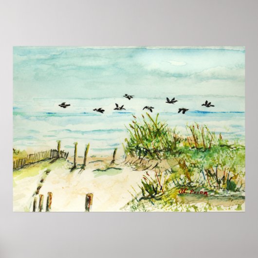 Buitenbanken Sand Dunes en Seagulls Posters (Voorkant)