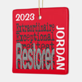 Buitengewone aangepaste terugzetbewerking keramisch ornament (Links)