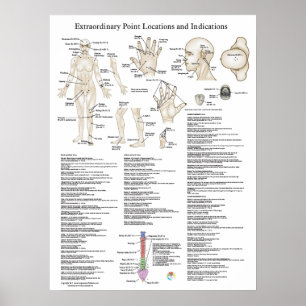 Buitengewoon Poster Acupunctiepunten