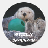 Buitengewoon verbazingwekkende Zee otters Ronde Sticker (Voorkant)
