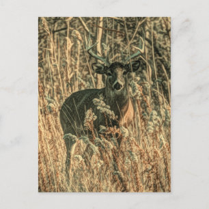 buitenmens wildernis Camouflage witstof herten Briefkaart