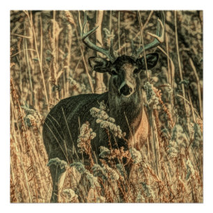 buitenmens wildernis Camouflage witstof herten Poster