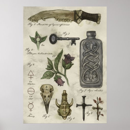 Buitennatuurlijke geschiedenisjagers poster (Voorkant)