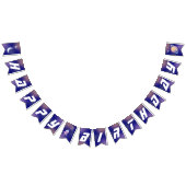 Buitenruimtevaartdag Vlaggetjes (Alle)