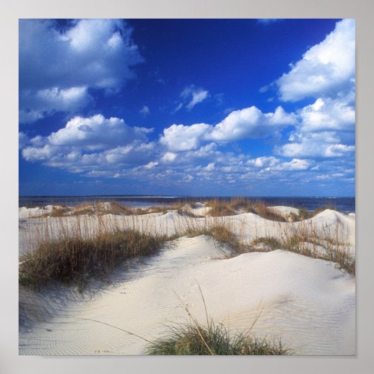 Buitenter Banks Dunes Poster (Voorkant)