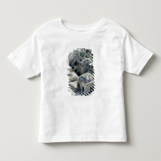 Buitenzijde van David's Tomb Kinder Shirts (Voorkant)