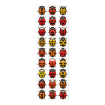 Buizen, bugs, bubbels - buikpatroon