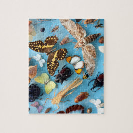 Buizen, buiken, buiken en molen legpuzzel